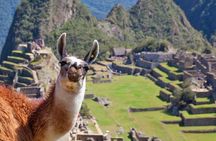 Machu Picchu by Train (Day Trip - Private)