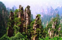 Private Day Trip to Avatar Mountain & Glass Bridge with Lunch