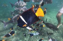Full-Day Experience in Banderas Bay