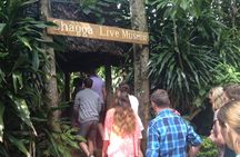 Marangu & Chagga - Cultural Day Tour form Moshi