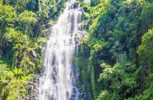 Materuni Waterfalls & Coffee Tour from Moshi