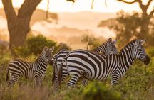 Nairobi National Park Day Tour