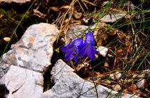Summit Albania Hiking, Holy Mount of Tomorr,Off Road Albania, Berat (ARG)