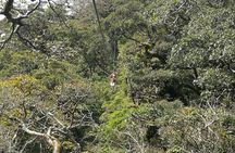 The Original Canopy Tour Monteverde, Zipline