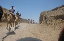 Camel Ride + Blue Hole Snorkeling + Quad Bike Tour With Lunch From Dahab