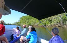 Lamanai Maya Ruin & New River Wildlife Adventure From Belize City