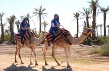 Marrakech Desert Camel Ride