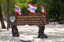 Bamboo Island, Maya Beach and Phi Phi Islands One Day Tour from Krabi