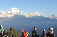 Annapurna Base Camp Trekking - 14 Days 