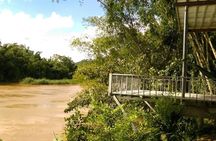 Cat Tien National Park: 2-Days Get Into The Heart Of Nature