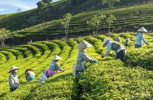 Private Da Lat 3 Days 2 Nights From Saigon