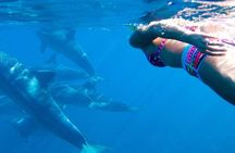 Kizimkazi Dolphin Tour