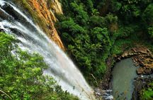 Private Rainforest & Wildlife Tour - Build Your Own Experience