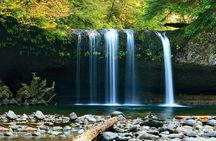 All inclusive luxury daytrip Plitvice Lakes from Split or Trogir