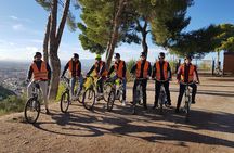 Albayzin and Sacromonte Electric Bike Tour in Granada