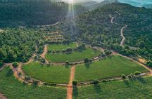 Judean Hills Wine Tasting Tour From Tel Aviv