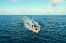 Marvelous Ile aux Cerf island: Speed Boat, Parasailing, Lunch & GRSE waterfall