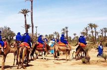camel ride on the palm grove marrakech