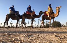 Sunset Camel Ride in the Palm Groves of Marrakech