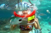Mesmerizing Ile aux Cerf: Speed Boat, GRSE, Lunch & Undersea walk (Full Day)