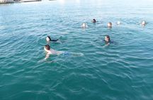 Dolphin Islands Boat Trip Lunch and Soft Drink Included From Side