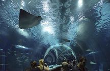 Aquario Tour - Rio de Janeiro