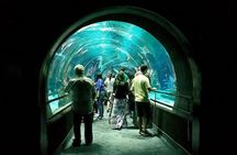 Aquario Tour - Rio de Janeiro