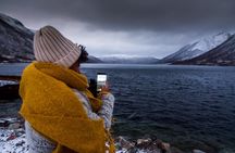 Tromsø: Arctic Fjord Trip with Scenic Lunch and Photo