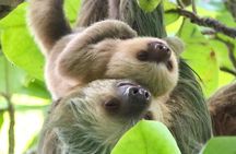 Customizable guided tour of Manuel Antonio National Park