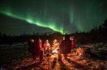 Tromsø: See The Aurora | 98% Success Rate | Full Arctic Gear