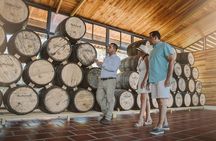Rum Tasting Experience & Palo Verde Boat Tour