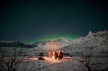 Tromsø: See The Aurora | 98% Success Rate | Full Arctic Gear