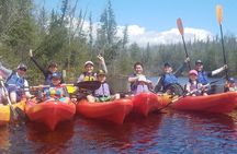 Wetlands Kayak Tour 