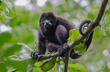 Spectacular Palo Verde Eco-Tour & Blue Zone Adventure