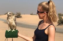 Dubai Desert Adventure Half-Day Tour