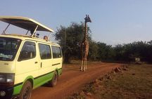 Nairobi Morning Safari/elephant Orphanage/giraffe Centre