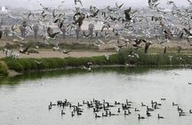 Private and exclusive Nature and Trek in Chorrillos