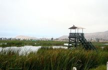 Private and exclusive Nature and Trek in Chorrillos