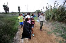 Private and exclusive Nature and Trek in Chorrillos