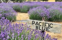 Kangaroo Island - Full Day Tasting Tour