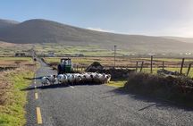 Dingle: Hour Slea Head Drive Tour 4hr - Personal Chauffeur Guide