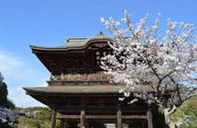 Kamakura Private Custom Tour