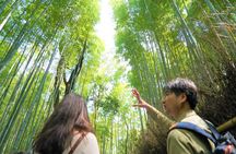 Kyoto Arashiyama Bamboo forest & Garden Half-Day Walking Tour