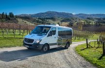 Queenstown Classic Wine Tour: 3 Winery Visits, Cave Tour & Cheese