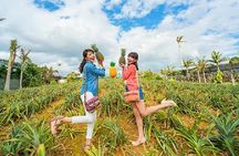 Okinawa Hip-hop Bus A Course Tour｜Churaumi Aqualium,Kori Island
