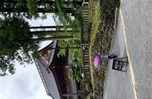 Nikko one day trip GREEN NUMBER PLATES