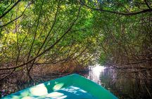 Day Visit to Dutch Galle Fort & Bentota Mangrove Safari From Colombo