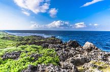 Okinawa Hip-hop Bus C Course Tour to Northern Island