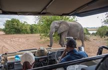 From Livingstone, Victoria Falls or Kasane - Chobe Day Tour