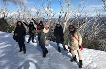 Mount Buller Snow Day Boutique Trip - Max 11 People